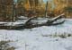 140-Winterstudie-IV-2020-Oel-Kt-14x20cm
