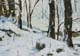 150-Winterlicht-2020-Oel-Kt-14x20cm