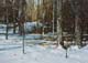 151-Am-Waldrand-II-2020-Oel-Lw-Holz-25x35cm