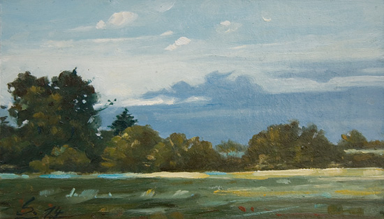 006-Abendstimmung-Worpswede-2014-Oel-Karton-12x21cm
