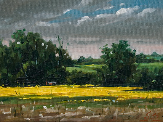 040-Rapsfeld-im-Selztal-I-2015-Oel-Lw-18x24cm