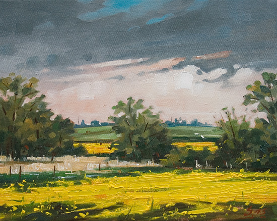 041-Rapsfeld-im-Selztal-2015-Oel-Ww-24x30cm