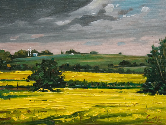 042-Rapsfeld-im-Selztal-II-2015-Oel-Iw-18x24cm
