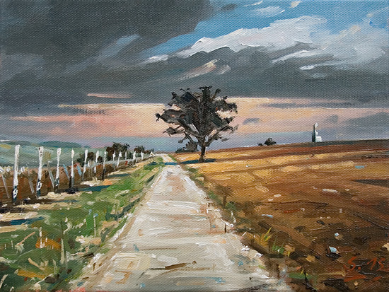 043-Selztal-Weinberge-2015-Oel-Lw-18x24cm