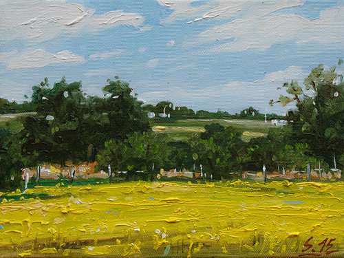 054-Raps-Im-Selztal-III-2015-Oel-Lw-18x24cm