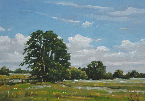 Wuemmelandschaft-2015-Oel-Kt-14x20cm