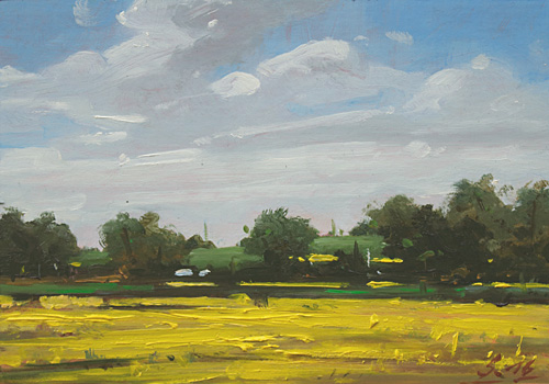 Rapsfelder-im-Selztal-II-2015-Oel-Kt-20x14cm