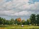 029-Worpsweder-Land-2015-Oel-Lw-18x24cm