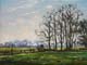 034-Landschaft-bei-Worpswede-2015-Oel-Lw-18x24cm