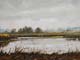 036-Teufelsmoor-im-Dunst-2015-Oel-Lw-18x24cm