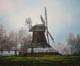 039-Windmuehle-bei-Worpswede-2015-Oel-Lw-50x60cm