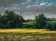 040-Rapsfeld-im-Selztal-I-2015-Oel-Lw-18x24cm