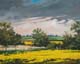 041-Rapsfeld-im-Selztal-2015-Oel-Ww-24x30cm