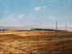 044-Feld-nahe-Jungenheim-2015-Oel-Lw-18x24cm