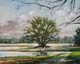 048-Rheinaue-bei-Ingelheim-2015-Oel-Lw-24x30cm