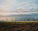049-Nebel-im-Selztal-2015-Oel-Lw-24x30cm