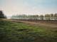 050-Rheinaue-bei-Ingelheim-I-2015-Oel-Lw-60x80cm
