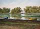 051-Rheinaue-bei-Ingelheim-II-2015-Oel-Lw-60x80cm