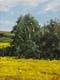 053-Raps-Im-Selztal-I-2015-Oel-Lw-24x18cm