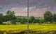 055-Rapsfelder-Im-Selztal-2015-Oel-Lw-2x30x24cm